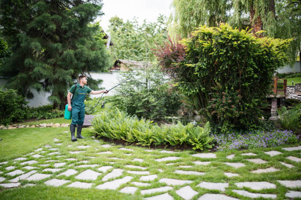 Landscape Design and Installation in Tok, AK